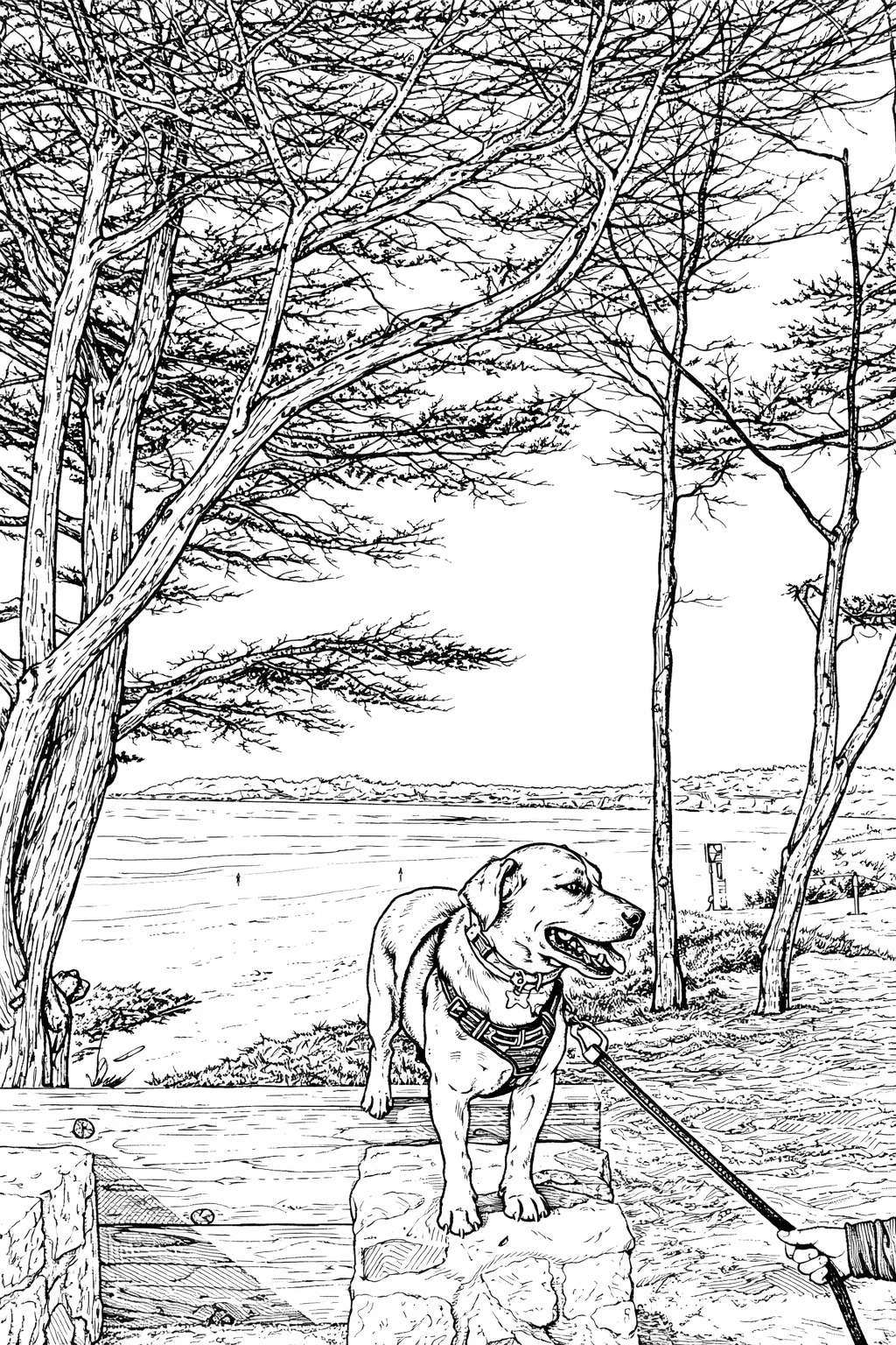 Coloring book line art